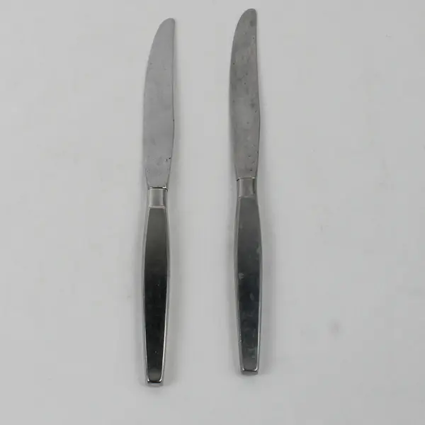 Lot of 2 Oneida Frostfire 9" Dinner Knives Stainless Satin Flatware