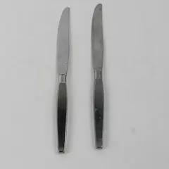 Lot of 2 Oneida Frostfire 9" Dinner Knives Stainless Satin Flatware