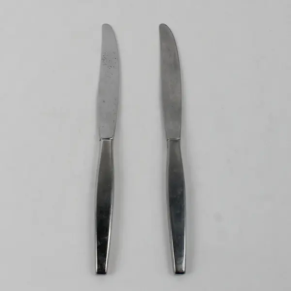 Lot of 2 Oneida Frostfire 9" Dinner Knives Stainless Satin Flatware