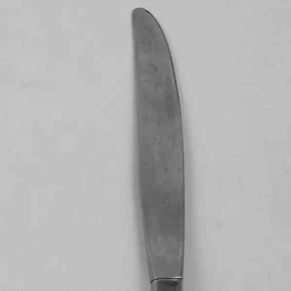 Lot of 2 Oneida Frostfire 9" Dinner Knives Stainless Satin Flatware