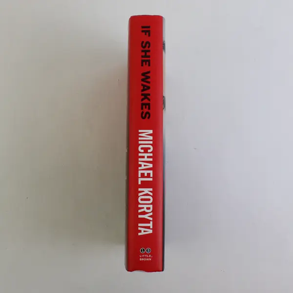If She Wakes by Michael Koryta 2019 First Edition Hardcover Dust Jacket