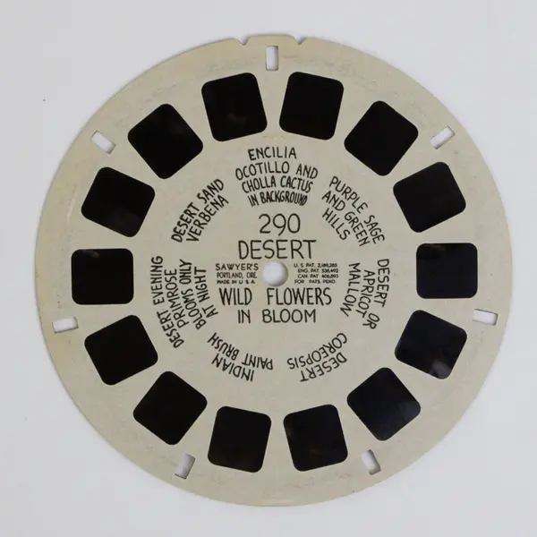  Sawyer's View Master Single Reel 290 Desert Wild Flowers In Bloom