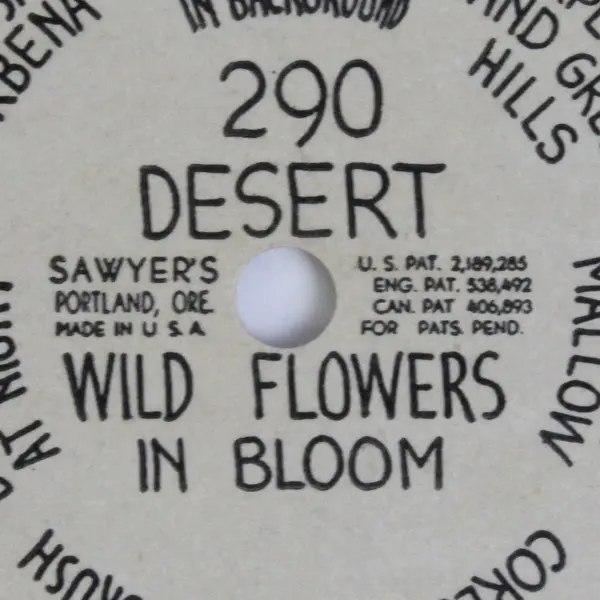  Sawyer's View Master Single Reel 290 Desert Wild Flowers In Bloom