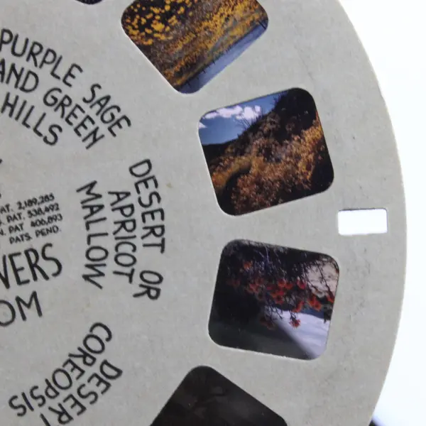  Sawyer's View Master Single Reel 290 Desert Wild Flowers In Bloom