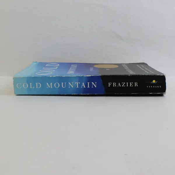 Cold Mountain a Novel by Charles Frazier 1998 Paperback Good Condition