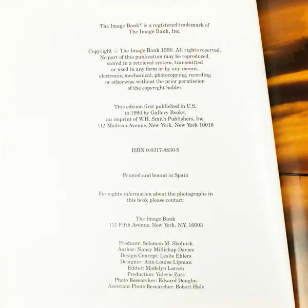 American Traveler San Francisco by Nancy Millichap Davies 1990 Hardcover Good