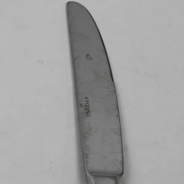 Lot Of 4 Oneida Silver Pacifica (Stainless) Flatware Dinner Knives 9.75" Long