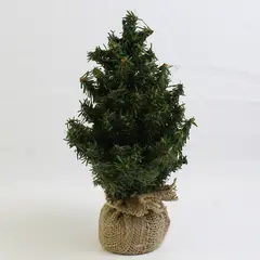 Mini Artificial Christmas Trees with Burlap Covered Base