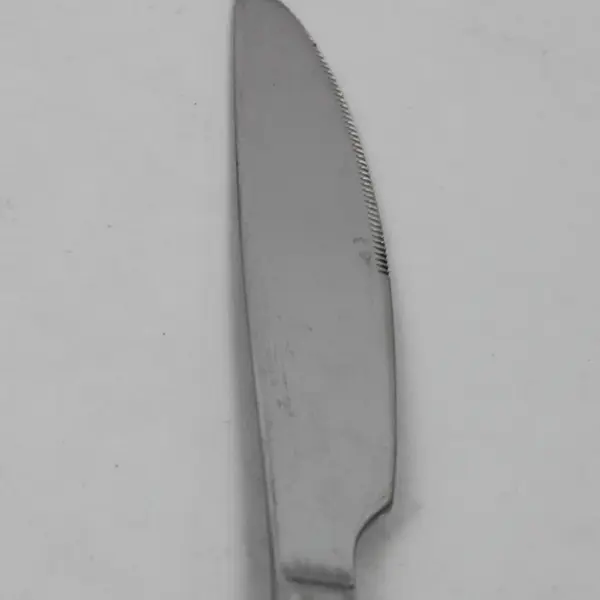 Lot Of 6 Oneida Silver Paxton (Stainless) Flatware Dinner Knives 9.75" Long