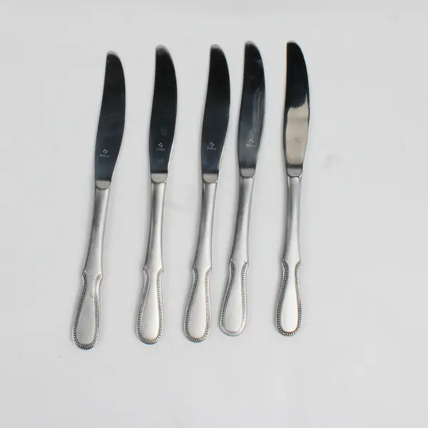 Lot Of 5 Oneida Silver Palisade (Stainless) Flatware Dinner Knives 8.75" Long