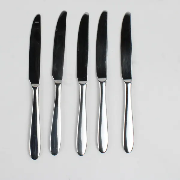 Lot Of 5 Oneida Mooncrest/Jennifer (Stainless) Flatware Dinner Knives 9.75"