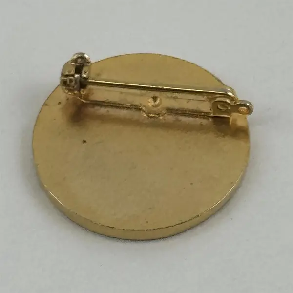 Vintage Gold Tone Soroptimist International Pin