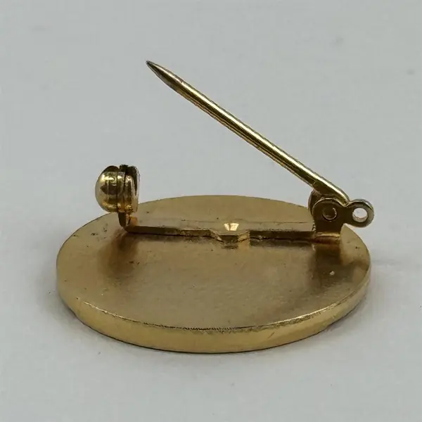 Vintage Gold Tone Soroptimist International Pin