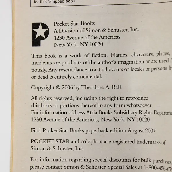 Spy by Ted Bell 2007 Paperback International Suspense Good