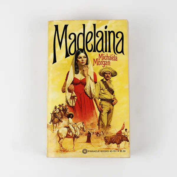 Madelaina by Michaela Morgan 1977 Paperback Good