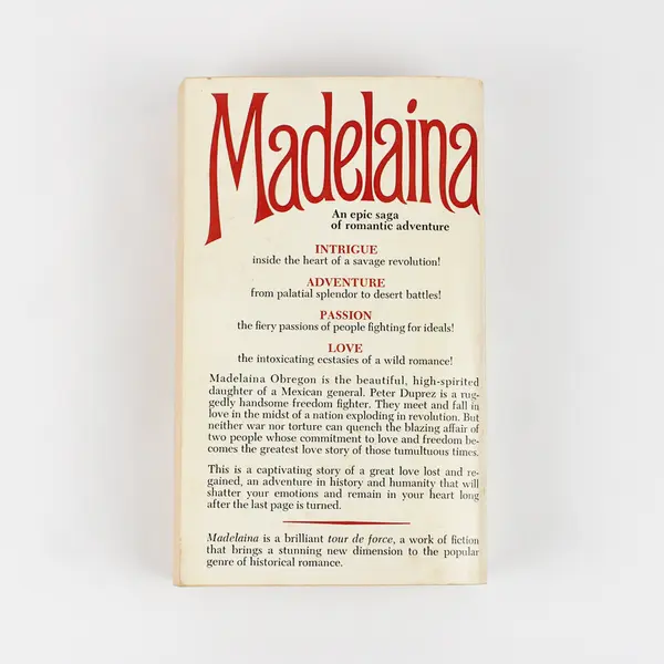 Madelaina by Michaela Morgan 1977 Paperback Good