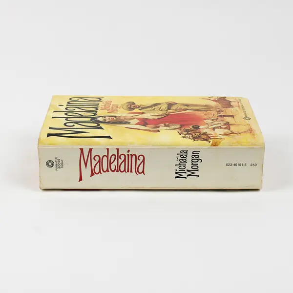 Madelaina by Michaela Morgan 1977 Paperback Good