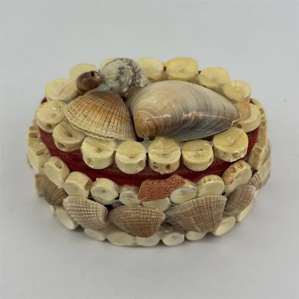 Vintage Seashell Trinket Jewelry Box Round Red Felt Lined Small 4.5in