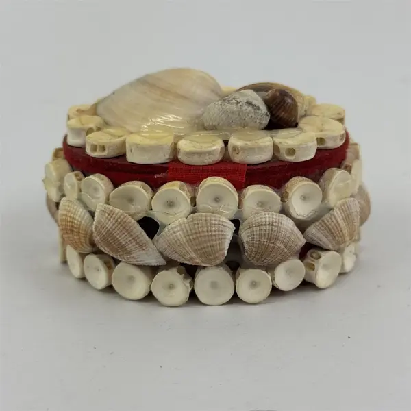 Vintage Seashell Trinket Jewelry Box Round Red Felt Lined Small 4.5in