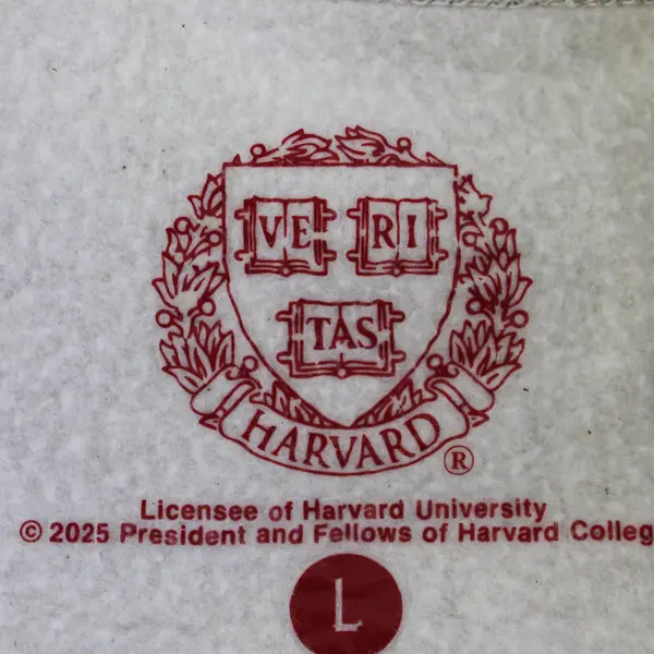 Harvard University Light Heather Gray Pullover Sweatshirt Women's Large