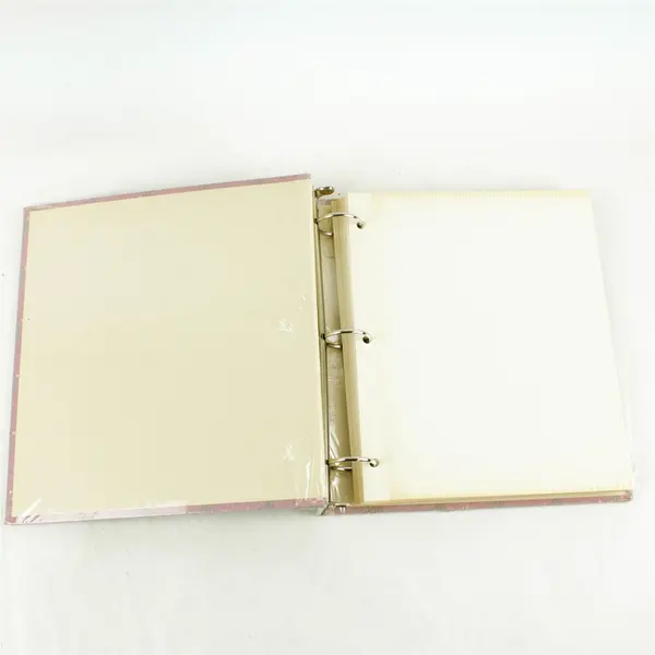 Windsor & Browne Pink Floral 100-Page Photo Album New
