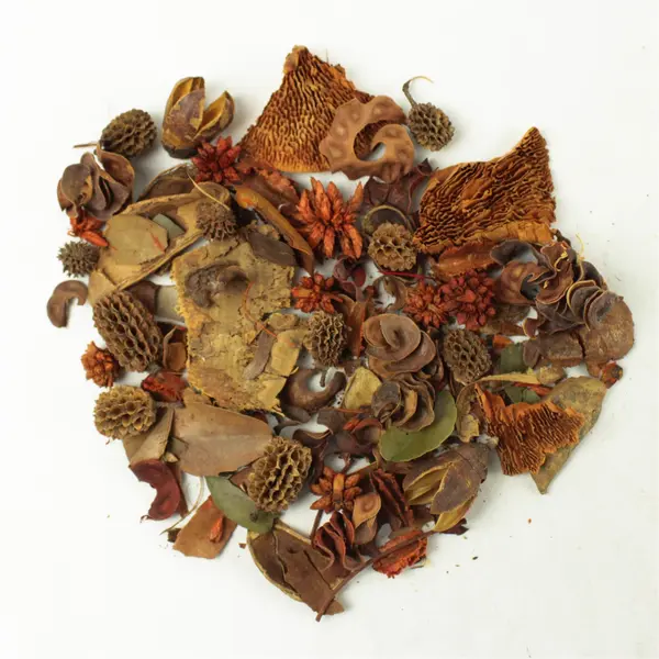 Natural Foliage Pieces for Decor & Crafts Wreaths Centerpieces