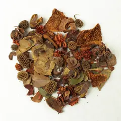 Natural Foliage Pieces for Decor & Crafts Wreaths Centerpieces