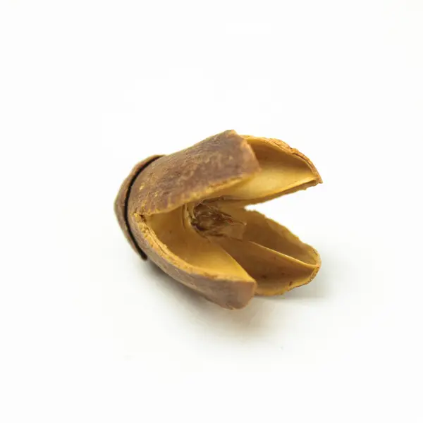 Natural Foliage Pieces for Decor & Crafts Wreaths Centerpieces