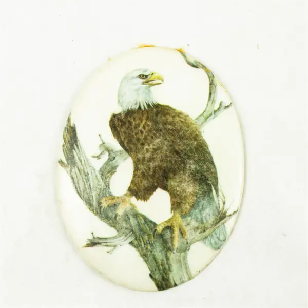 Oval Bald Eagle Painting Small Nature Art 5.5x4