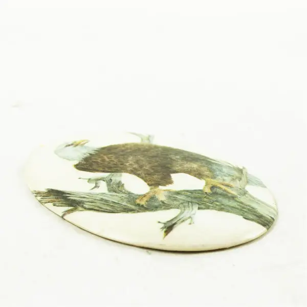 Oval Bald Eagle Painting Small Nature Art 5.5x4