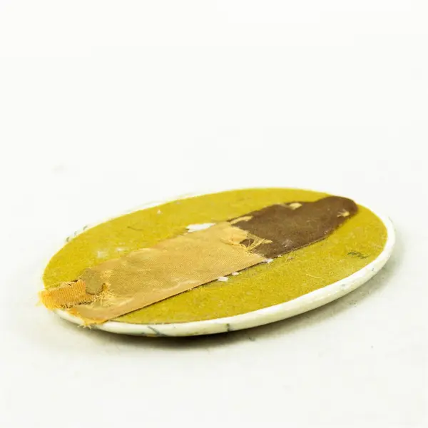 Oval Bald Eagle Painting Small Nature Art 5.5x4