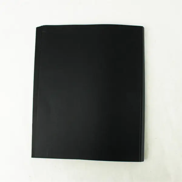 Lot of 10 Clear Front Report Protectors Black Spine Letter Size