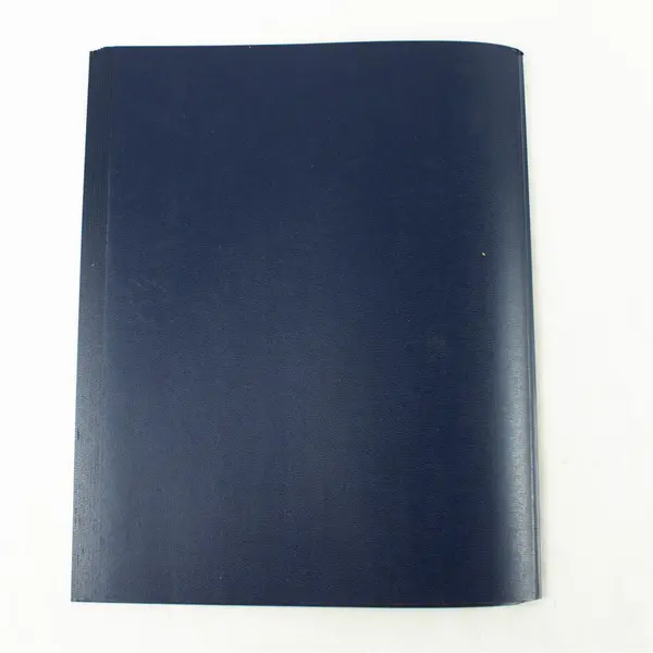 Lot of 10 Clear Front Report Protectors Blue Spine Letter Size