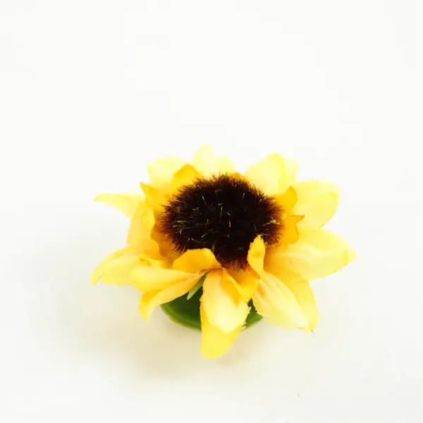 Lot of Crafting Supplies Scrapbooking Embellishments Sunflower-Magnets