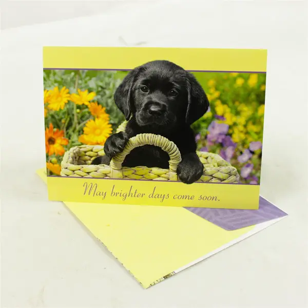 Lot of 10 Get Well Cards & Envelopes Assorted New Unused