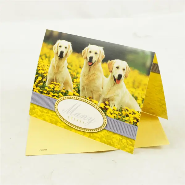 Lot of 11 Thank You Cards & Envelopes Assorted New Unused