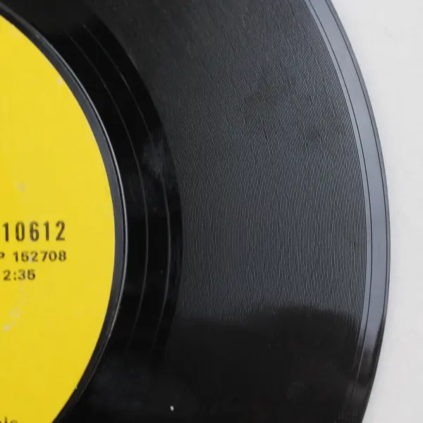 Tammy Wynette He Loves Me All The Way / Our Last Night Together Vinyl 45 RPM 