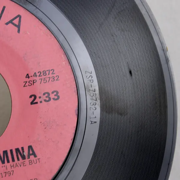 Jerry Vale Mala Femmina / Maria Elena Record 45 RPM