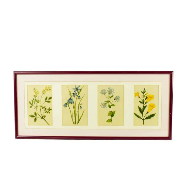Set of 4 Botanical Watercolor Prints Natural History Specimen Art