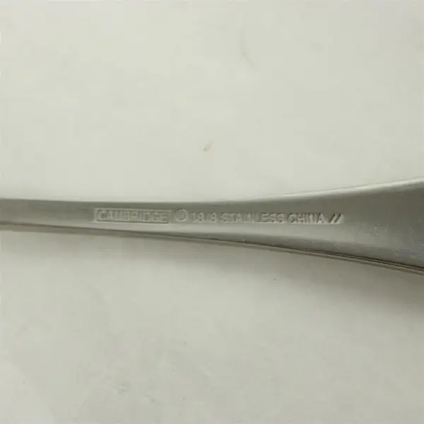 Set of 4 Cambridge Bailey Satin Stainless Salad Forks 