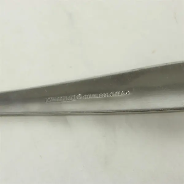 Set of 5 Cambridge Bedrock Sand Stainless Place/Oval Soup Spoons