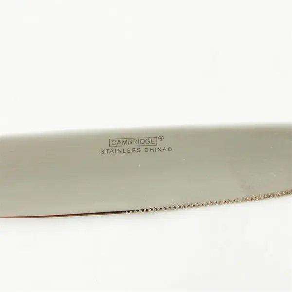 Set of 4 Cambridge Bedrock Sand Stainless Steel French Solid Dinner Knives