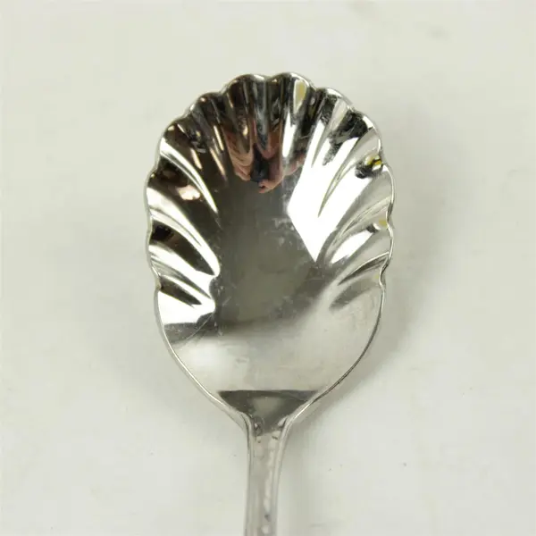 Reed & Barton Dorado Sugar Shell Stainless Steel Spoon 6.25"