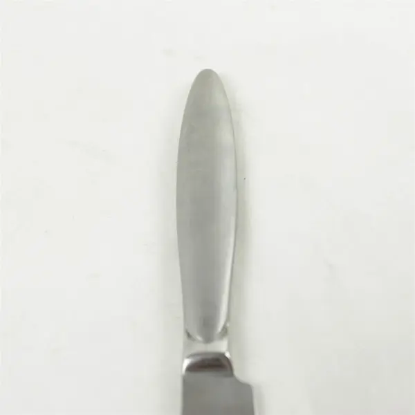 Set of 4 Reed & Barton Cafe Matte Stainless Steak Knives
