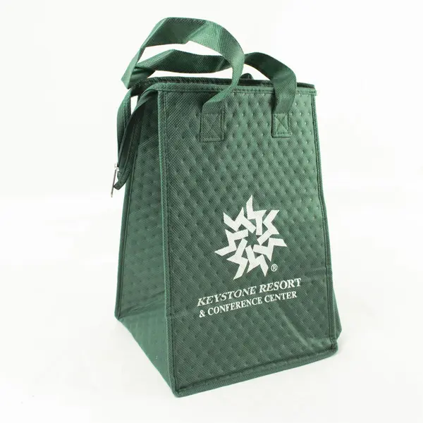 Bag Makers Keystone Resort Green Insulated Lunch Bag Tote 11x8