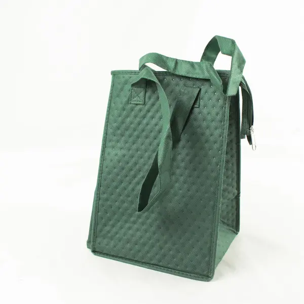 Bag Makers Keystone Resort Green Insulated Lunch Bag Tote 11x8