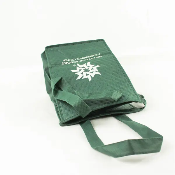 Bag Makers Keystone Resort Green Insulated Lunch Bag Tote 11x8