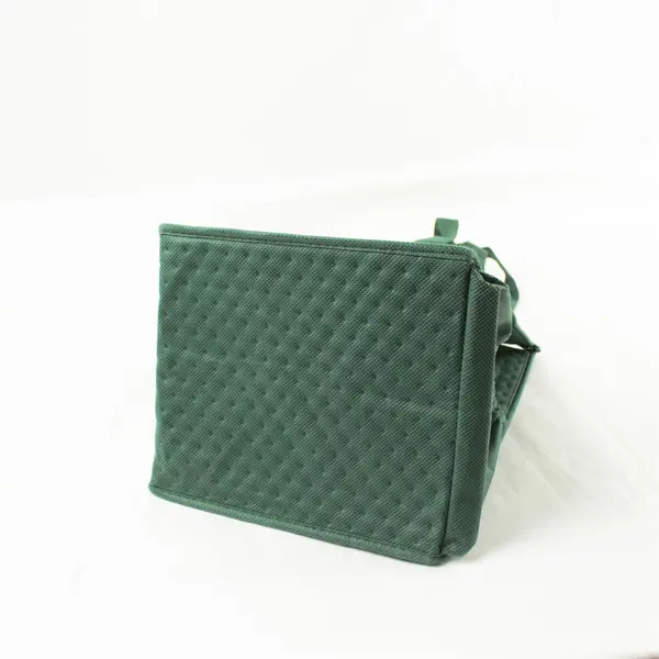 Bag Makers Keystone Resort Green Insulated Lunch Bag Tote 11x8