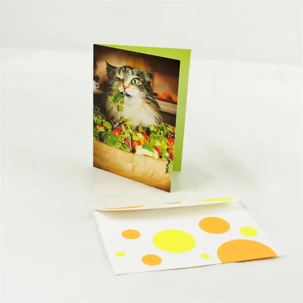Lot of 10 Greeting Cards & Envelopes Assorted Occasions