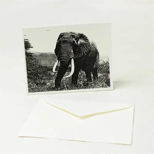 Lot of 10 Greeting Cards & Envelopes Assorted Occasions